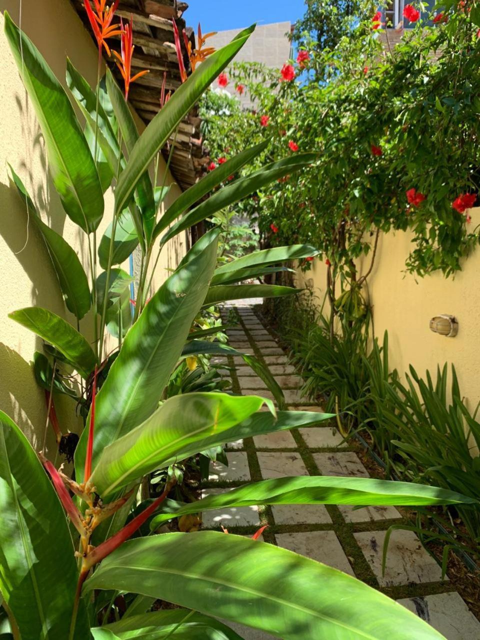 Chalés Pulo do Gato Canoa Quebrada Exterior foto